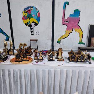 Preparation of Annual Function (20)